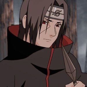 Meet your Posher, Lilly